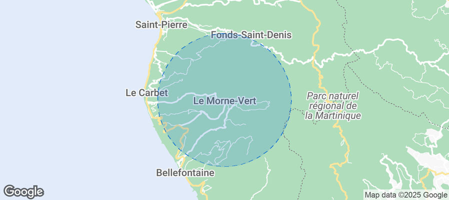 Discover Le Morne-Vert Airbnb Analytics